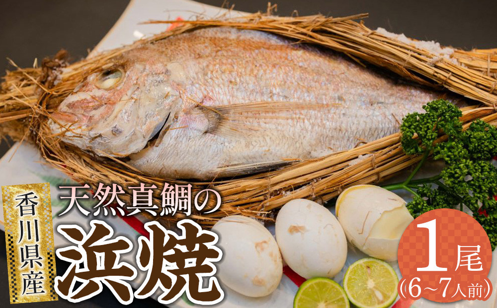 天然真鯛の浜焼1尾（6人～7人前）