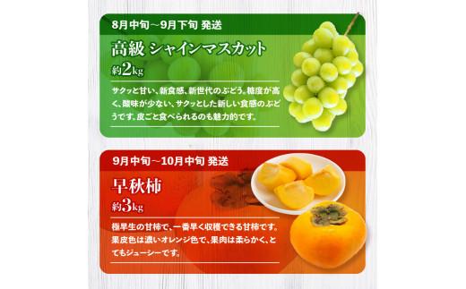 蟄」遽縺ョ繝輔Ν繝シ繝 蜴ウ驕ク 鬮俶收蟶 12蝗 [譌ャ縺ェ蟄」遽縺ォ蜷郁ィ12蝗樒匱騾‐螳壽悄萓ソN