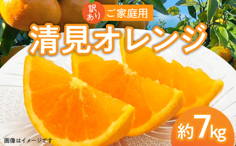 訳あり ご家庭用 清見オレンジ 約7kg【2025年3月中旬〜2025年4月上旬配送】