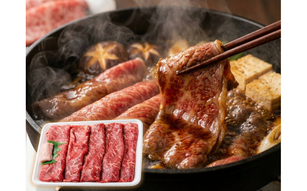 厳選黒毛和牛赤身スライス定期便6か月500g