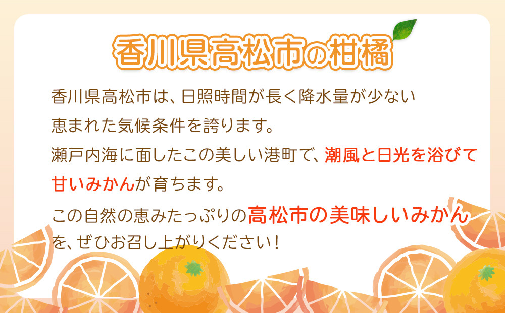 ≪ご褒美ふるーつ≫「小原紅早生みかん」約3kg【2026年12月以降お届け】