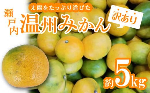 ＼寄附額改定／【訳あり】太陽たっぷり浴びた　瀬戸内温州みかん　約5kg【2024-10月上旬～2025-1月中旬配送】