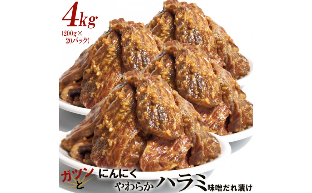 ガツンとにんにくやわらかハラミ味噌だれ漬け4kg（200g×20）