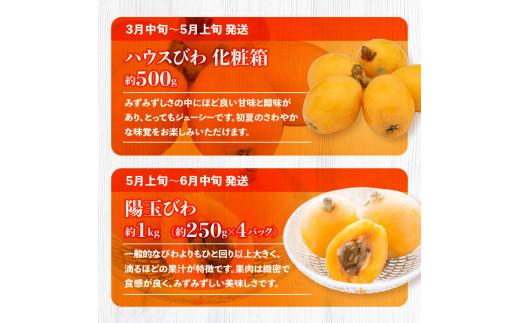 蟄」遽縺ョ繝輔Ν繝シ繝 蜴ウ驕ク 鬮俶收蟶 12蝗 [譌ャ縺ェ蟄」遽縺ォ蜷郁ィ12蝗樒匱騾‐螳壽悄萓ソN