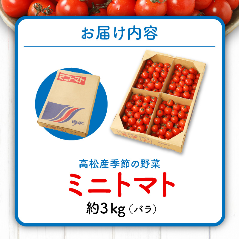 ミニトマト(バラ) 約3kg【2023年11月上旬〜2024年6月中旬配送】