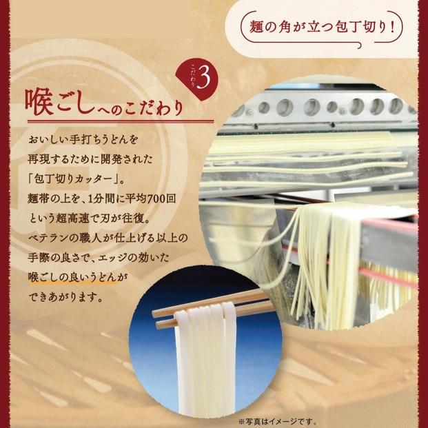 半生讃岐石丸うどん6人前（めんつゆ付き）麺300g×2袋