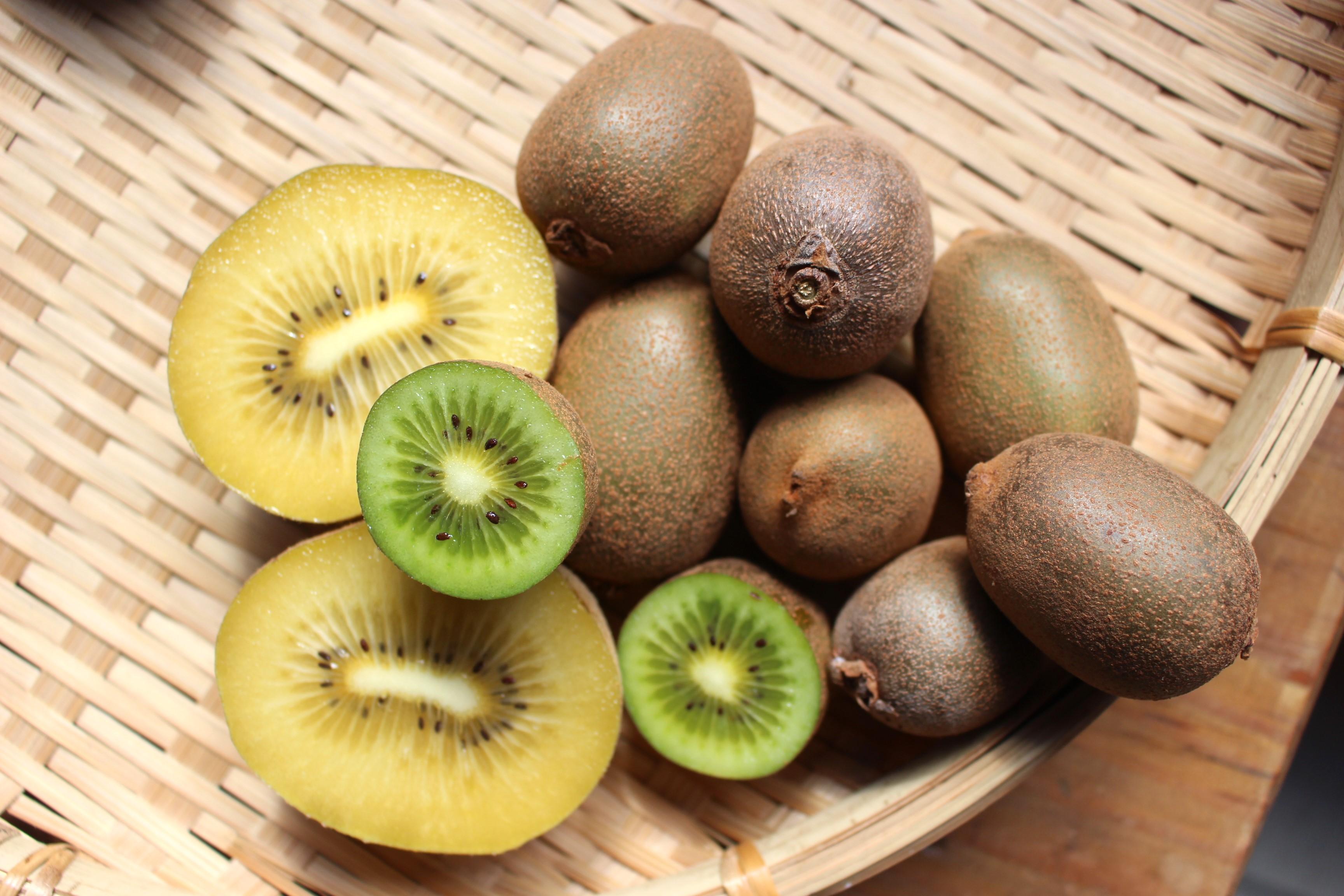 éŠå·çç£ããŠã€ã®Goroã£ãšã³ã³ãã£ãã¥ãŒã«3çš®ã»ãããèš894ïœ