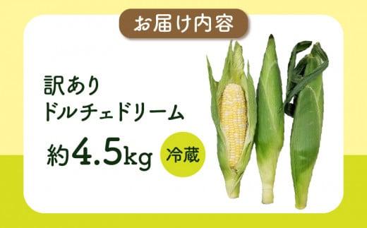 ＼寄附額改定／訳あり ご家庭用ドルチェドリーム 約4.5kg【2025-6月上旬～2025-7月上旬配送】