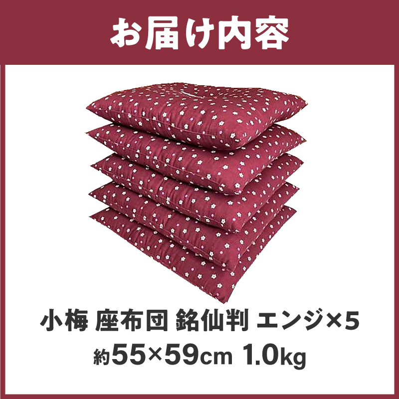  小梅 座布団 銘仙判 55×59cm 5枚組 日本製 綿わた100% エンジ 讃岐座布団