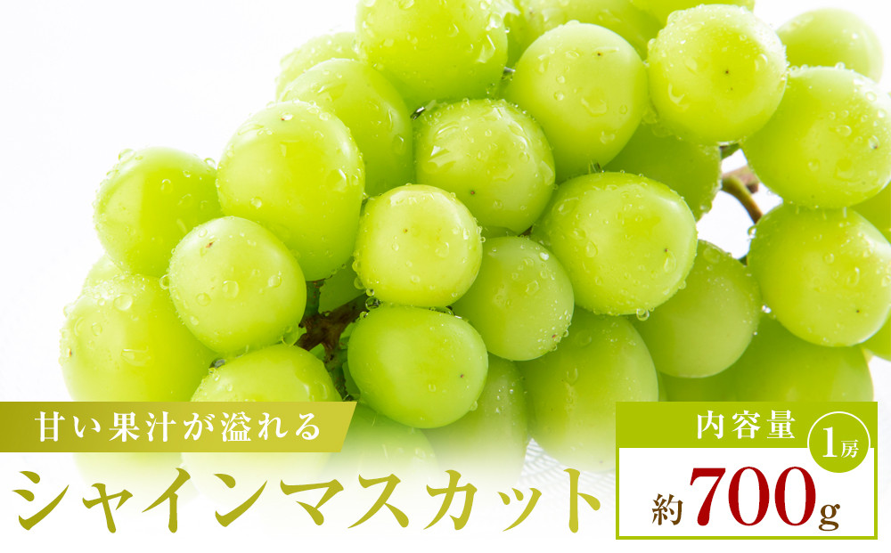 【食べきりサイズ】シャインマスカット　約700g