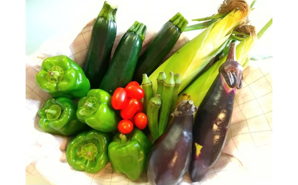 瀬戸ガーネット　1kgと夏野菜詰め合わせセット３～４人分【6月下旬以降発送】