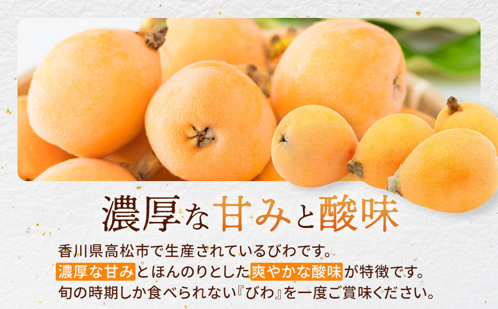 ãæ°ééå®ãã³ãã480ïœåç²§ç®±ã8çïœ12ç