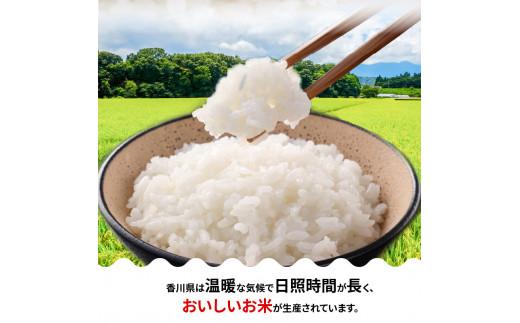 【6ヶ月定期便】計約30kg 偶数月 おいしいコシヒカリ約5kg