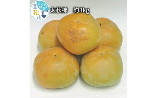 太秋 柿　約3kg【2024-9月中旬～2024-10月中旬配送】