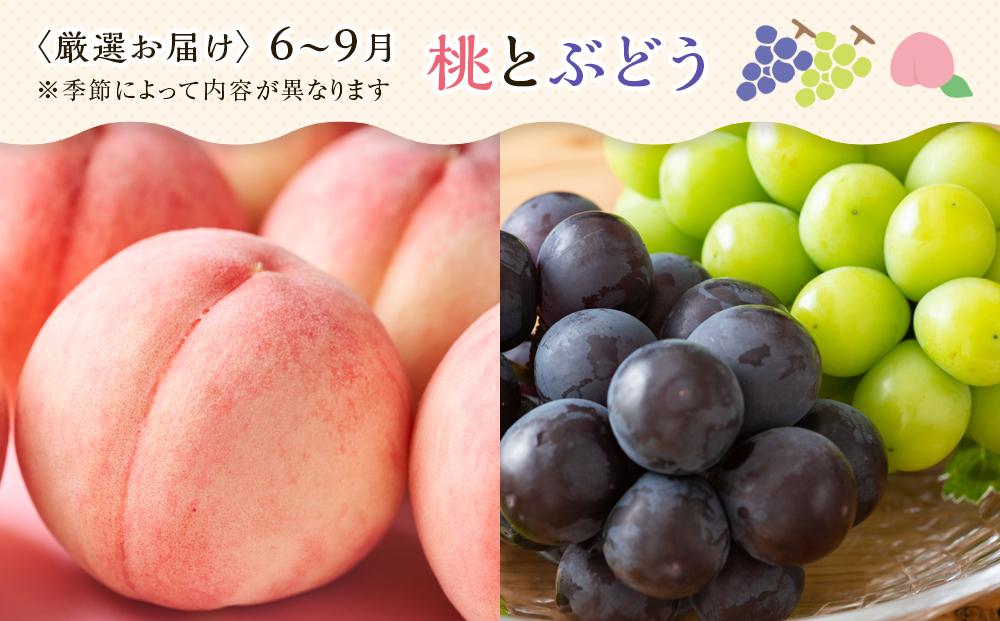 創業130余年！老舗果物店が見極めた、厳選フルーツ詰合せ♪満足セット （3～5品種）｜果物 くだもの フルーツ 詰め合わせ 桃 もも 柑橘 みかん ミカン いちご 苺 キウイ 柿 ぶどう 葡萄 人気 おすすめ 香川 高松