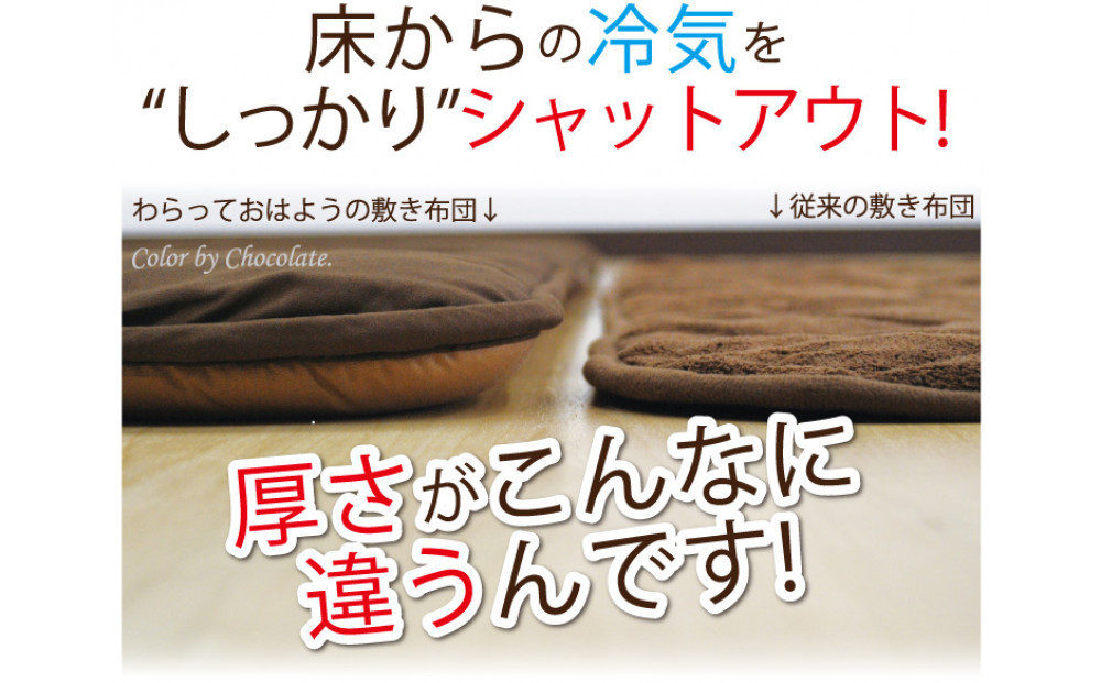 リバーシブル無地カラー・こたつ敷き布団【長方形普通判：190×220cm】（KSI008）  お色：ダークグリーン/ライトグリーン