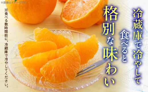 初夏に味わえる柑橘 貯蔵デコポン 約2.7kg【2025年5月中旬～2025年6月下旬配送】