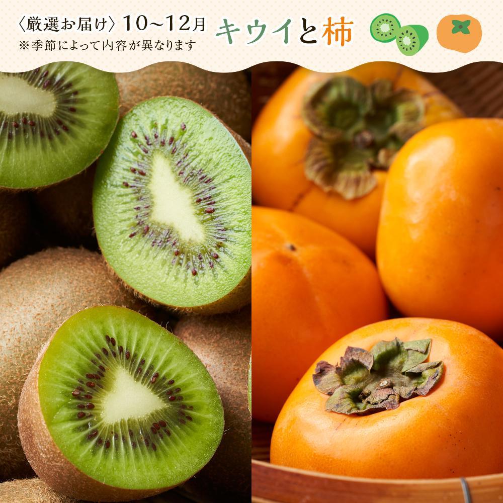 【お歳暮ギフト/熨斗対応】創業130余年！老舗果物店が見極めた、厳選フルーツ詰合せ♪満足セット （3～5品種）