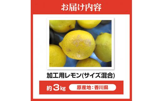 訳あり 加工用 レモン (サイズ混合) 3kg【2024年11月下旬～2025年4月上旬配送】
