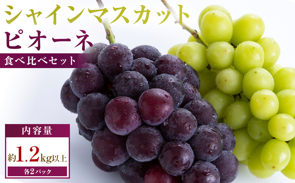 シャインマスカット+ピオーネ　パック食べ比べセット　約1.2kg以上(各2パック)