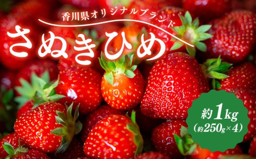 先行予約 いちご さぬきひめ 約1kg (250g×4)  果物 フルーツ 苺 デザート スイーツ ケーキ ジュース ゼリー アイス シャーベット ジェラート フルーツ大福 ドライフルーツ クレープ ギフト 家庭用 旬の果物 旬 ビタミンC 美容 健康 お取り寄せ グルメ 人気 おすすめ 香川県 丸亀市