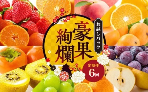 【定期便6回】 【お試しパック】 フルーツ 果物 定期便  お試しパック ミニ いちご 桃 シャインマスカット デコポン ピオーネ みかん 小原紅早生 苺 さぬきひめ もも 飯山の桃 ニューピオーネ 飯山 詰め合わせ 旬のフルーツ 旬 ギフト フルーツ定期便 果物定期 果物定期便 人気果物 豪果絢爛 香川県 丸亀市