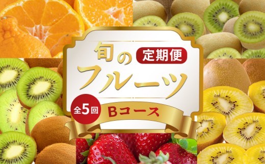 旬のフルーツ 定期便 5 回 Bコース 果物 フルーツ いちご 苺 キウイ みかん デコポン 不知火 柑橘 蜜柑 ゴールドキウイ グリーンキウイ さぬきひめ さぬきゴールド 香緑 小原紅早生みかん ふるさと納税定期便 ふるさと納税フルーツ デザート スイーツ ケーキ アイス ギフト 贈答 送料無料 ふるさと納税 香川県 丸亀市