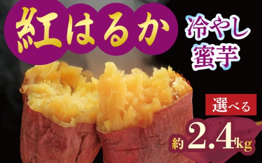 予約 焼き芋 蜜芋 冷蔵 紅はるか 約2.4kg 芋 さつまいも おいも お芋 やきいも サツマイモ おやつ スイーツ デザート コグマ ダイエット 低GI 食物繊維  香川県 丸亀市 配送：11月下旬～