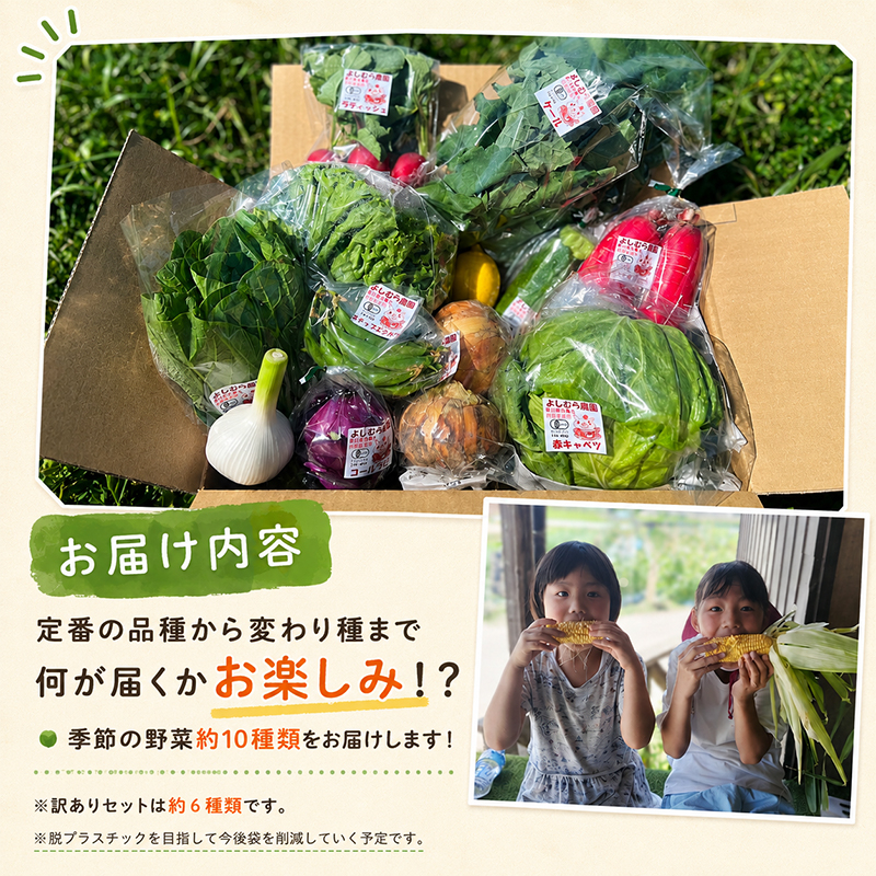 野菜 定期便 3回 詰め合わせ 10種 よしむら農園 オーガニック 有機 有機野菜 やさい ベジタブル おまかせ セット 一人暮らし おすすめ レタス とうもろこし トマト 有機栽培 JAS 栄養 贅沢 国産 大容量 人気 新鮮 今が旬 香川県 丸亀市