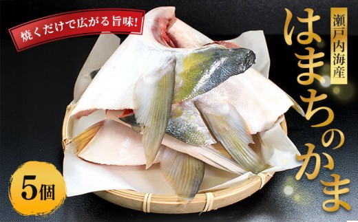 瀬戸内海産 天然 はまちかま ハマチ 5個 新鮮 魚 一本釣り 釣り 海 海産物 海の幸 魚介 惣菜 塩焼き 煮付け 切身 人気 国産 カマ はまち 鮮魚 切り身 瀬戸内海 おかず 美味 美味しい 簡単 おつまみ 朝ごはん 冷凍 冷凍配送 お取寄 急速冷凍 小分け 香川県 香川 丸亀 ふるさと納税