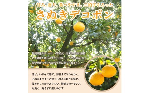 譌ャ縺ョ繝輔Ν繝シ繝 螳壽悄萓ソ 3蝗 E繧ウ繝シ繧ケ 譫懃黄 繝輔Ν繝シ繝 縺輔〓縺阪ざ繝シ繝ォ繝 繧ュ繧ヲ繧、 繧ュ繧ヲ繧、繝輔Ν繝シ繝 繧エ繝シ繝ォ繝峨く繧ヲ繧、 鬥咏キ 繧ー繝ェ繝シ繝ウ繧ュ繧ヲ繧、 繧ケ繧、繝シ繝 繝繧カ繝シ繝 繧ア繝シ繧ュ 繧シ繝ェ繝シ 繧ク繝・繝シ繧ケ 繧ク繝」繝 繧「繧、繧ケ 繧ク繧ァ繝ゥ繝シ繝 繝輔Ν繝シ繝螟ァ遖 繧ッ繝ャ繝シ繝 縺オ繧九&縺ィ邏咲ィ主ョ壽悄萓ソ 縺オ繧九&縺ィ邏咲ィ弱ヵ繝ォ繝シ繝 繧ョ繝輔ヨ 雍育ュ 騾∵侭辟。譁 縺オ繧九&縺ィ邏咲ィ 鬥吝キ晉恁 荳ク莠蟶
