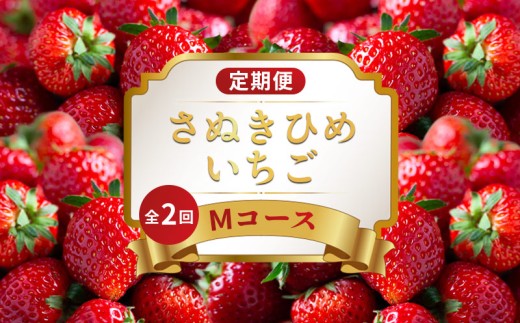 いちごの定期便 2回 Mコース 果物 フルーツ いちご 苺 さぬきひめ デザート スイーツ ケーキ ゼリー ジュース アイス ジェラート フルーツ大福 ふるさと納税定期便 定期便 ふるさと納税フルーツ ギフト 贈答 送料無料 ふるさと納税 香川県 丸亀市