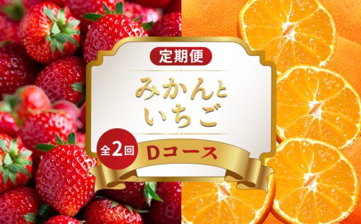 旬のフルーツ 定期便 2回 Dコース 果物 フルーツ いちご 苺 さぬきひめ 小原紅早生 みかん 柑橘 蜜柑 デザート スイーツ ケーキ アイス ゼリー フルーツ大福 ふるさと納税定期便 ふるさと納税フルーツ ギフト 贈答 送料無料 ふるさと納税 香川県 丸亀市