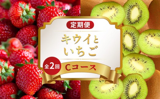 旬のフルーツ 定期便 2回 Cコース 果物 フルーツ いちご 苺 さぬきひめ キウイ 香緑 グリーンキウイ デザート スイーツ ケーキ ゼリー ジュース アイス ふるさと納税定期便 ふるさと納税フルーツ ギフト 贈答 送料無料 ふるさと納税 香川県 丸亀市