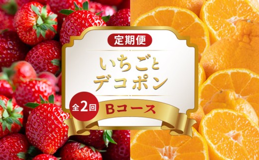旬のフルーツ 定期便 2回 Bコース 果物 フルーツ いちご 苺 さぬきひめ デコポン 不知火 みかん 柑橘 蜜柑 デザート スイーツ ケーキ アイス ジェラート ふるさと納税定期便 ふるさと納税フルーツ ギフト 贈答 送料無料 ふるさと納税 香川県 丸亀市