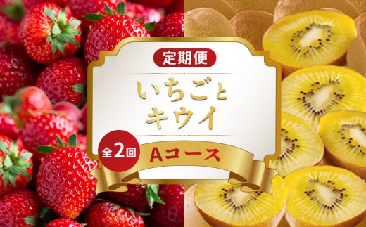 旬のフルーツ 定期便 2回 Aコース 果物 フルーツ いちご 苺 さぬきひめ キウイ さぬきゴールドキウイ キウイ デザート スイーツ  ケーキ アイス ジェラート ふるさと納税定期便 ふるさと納税フルーツ ギフト 贈答 送料無料 ふるさと納税 香川県 丸亀市