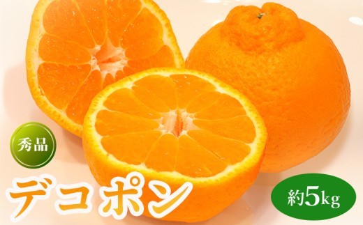 先行予約 デコポン 約5kg 果物 フルーツ デコポン 不知火 みかん 蜜柑 柑橘 デザート スイーツ ケーキ ジュース ゼリー アイス シャーベット ジェラート ギフト 家庭用 旬の果物 旬 お取り寄せ グルメ 人気 おすすめ 香川県 丸亀市 出荷：2027年3月～