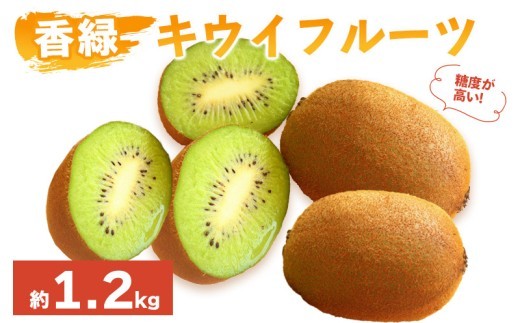 先行予約 キウイフルーツ 香緑 約1.2kg 果物 フルーツ キウイ グリーンキウイ こうりょく デザート スイーツ ケーキ ジュース ゼリー アイス シャーベット ジェラート フルーツ大福 ドライフルーツ ギフト 家庭用 旬の果物 旬 ビタミンC 美容 健康 お取り寄せ グルメ 人気 おすすめ 香川県 丸亀市 出荷：2026年12月～