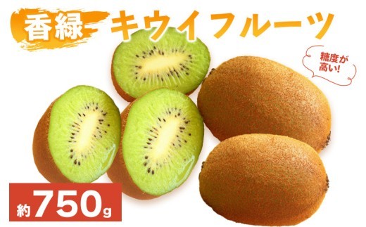 先行予約 キウイフルーツ 香緑 約750g 果物 フルーツ キウイ グリーンキウイ こうりょく デザート スイーツ ケーキ ジュース ゼリー アイス シャーベット ジェラート フルーツ大福 ドライフルーツ ギフト 家庭用 旬の果物 旬 ビタミンC 美容 健康 お取り寄せ グルメ 人気 おすすめ 香川県 丸亀市 出荷：2026年12月～