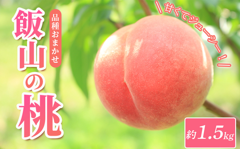 桃 約 1.5kg 6個 もも モモ 白桃 黄桃 飯山の桃 ピーチ 果物 くだもの フルーツ 果実 旬 新鮮 箱入り 冷蔵 贈答 ギフト プレゼント お中元 飯山 香川県丸亀市