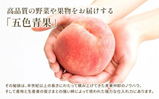 ãåç²§ç®±ãåçž®ãããæ¿åãªçã¿ïŒ ããªãŒã çŽ1kg 2-3æ¿å
¥ çš®ãªã å·èµ é
é ã¶ã©ã è¡è ãã㊠ãã«ãŒã æç© ãã ãã® ãã¶ãŒã æå® çŸå³ãã äººæ°æç© äººæ°ãã«ãŒã æ¬ã®ãã«ãŒã æ¬ã®æç© ãµãããšçŽçšã¶ã©ã ãµãããšçŽçšããªãŒã éŠå·ç äžžäºåž