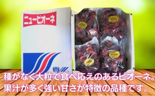 ãåç²§ç®±ãåçž®ãããæ¿åãªçã¿ïŒ ããªãŒã çŽ1kg 2-3æ¿å
¥ çš®ãªã å·èµ é
é ã¶ã©ã è¡è ãã㊠ãã«ãŒã æç© ãã ãã® ãã¶ãŒã æå® çŸå³ãã äººæ°æç© äººæ°ãã«ãŒã æ¬ã®ãã«ãŒã æ¬ã®æç© ãµãããšçŽçšã¶ã©ã ãµãããšçŽçšããªãŒã éŠå·ç äžžäºåž