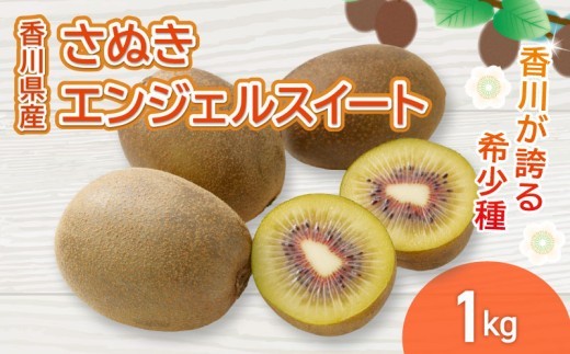 さぬきエンジェルスイート 選べる 約1kg 先行予約 キウイ 果物 フルーツ 香川県 丸亀市