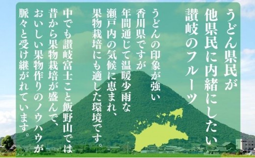 【2026年10月下旬～】 キウイ さぬきゴールドキウイ 3kg ゴールドキウイ キウイフルーツ 果物 フルーツ くだもの ゴールド 旬 ドライフルーツ 朝食 おやつ デザート 季節 先行予約 香川県 丸亀市