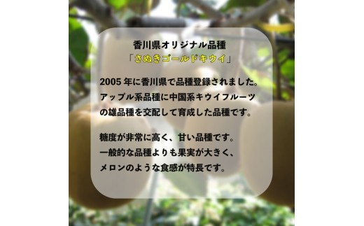 【2026年10月下旬～】 キウイ さぬきゴールドキウイ 3kg ゴールドキウイ キウイフルーツ 果物 フルーツ くだもの ゴールド 旬 ドライフルーツ 朝食 おやつ デザート 季節 先行予約 香川県 丸亀市