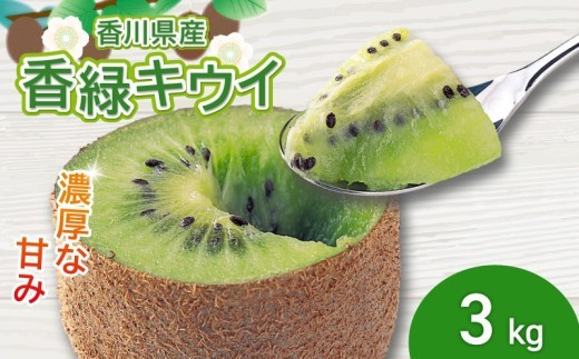 濃厚な甘み！ 香緑キウイ 約3kg 香川県産 香緑 キウイ キウイフルーツ 果物 ふるさと納税キウイ 香川県 丸亀市