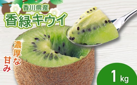 濃厚な甘み！ 香緑キウイ 約1kg 香川県産 香緑 キウイ キウイフルーツ 果物 ふるさと納税キウイ 香川県 丸亀市