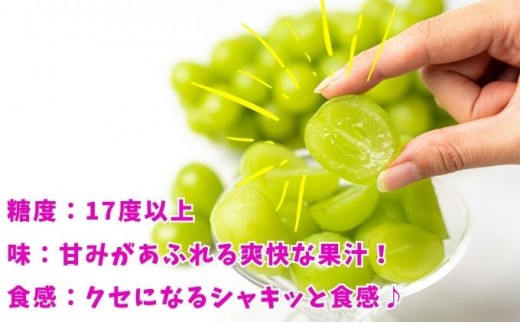 パリッと甘い！ シャインマスカット 約2kg 2-5房 冷蔵 マスカット ぶどう 葡萄 ブドウ フルーツ 果物 くだもの デザート 果実 美味しい 人気果物 人気フルーツ 旬のフルーツ 旬の果物 瀬戸内 果汁 フルーツ  デザート 果実 青果 甘い 季節 国産 ふるさと納税マスカット ふるさと納税ぶどう 香川県 丸亀市