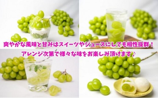 パリッと甘い！ シャインマスカット 約2kg 2-5房 冷蔵 マスカット ぶどう 葡萄 ブドウ フルーツ 果物 くだもの デザート 果実 美味しい 人気果物 人気フルーツ 旬のフルーツ 旬の果物 瀬戸内 果汁 フルーツ  デザート 果実 青果 甘い 季節 国産 ふるさと納税マスカット ふるさと納税ぶどう 香川県 丸亀市
