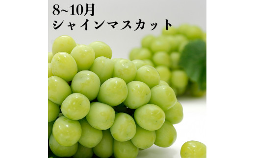【果物を贅沢に味わう】 丸亀のフルーツ定期便 全6回 キウイ いちご 不知火 桃 シャインマスカット みかん さぬきひめ さぬき紅みかん 香緑 香川県 丸亀市